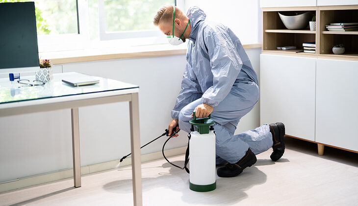 Pest Control for Industrial Facilities: Preventing Infestations in High-Risk Areas