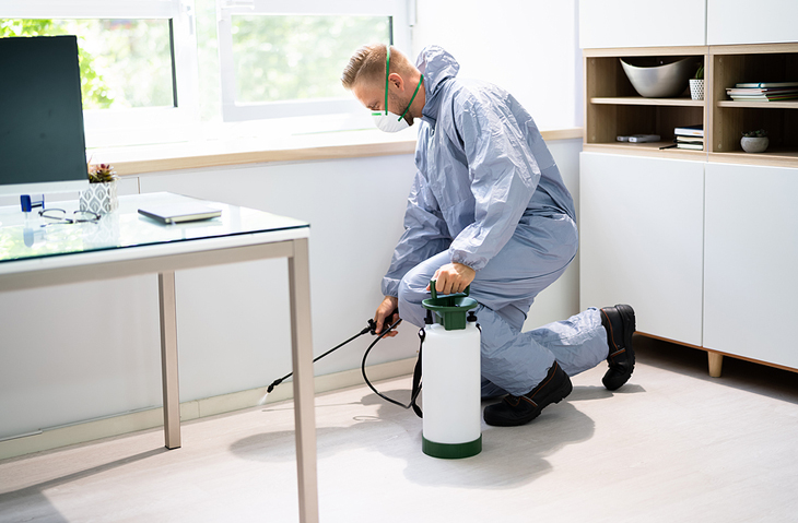 Pest Control for Industrial Facilities: Preventing Infestations in High-Risk Areas