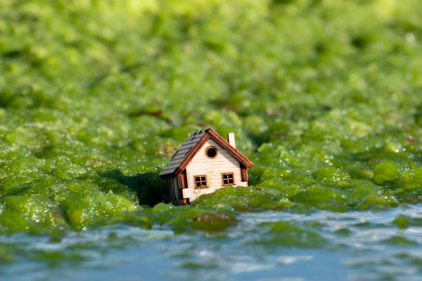 Managing Heir Conflicts During the Property Sale and Division Process