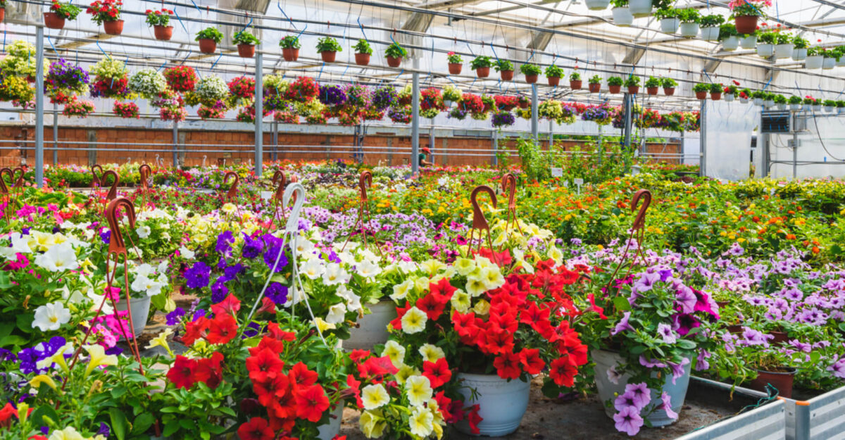 Plant Data